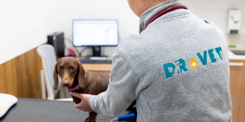 Наша команда