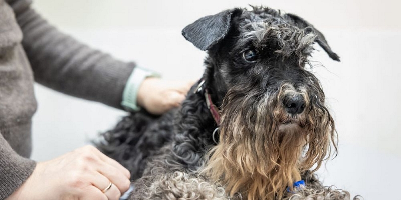 Клиническое оборудование