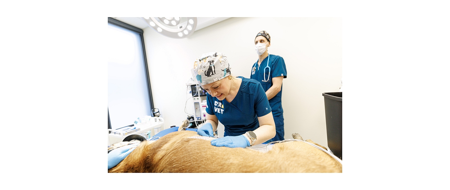 Процесс выполнения операции