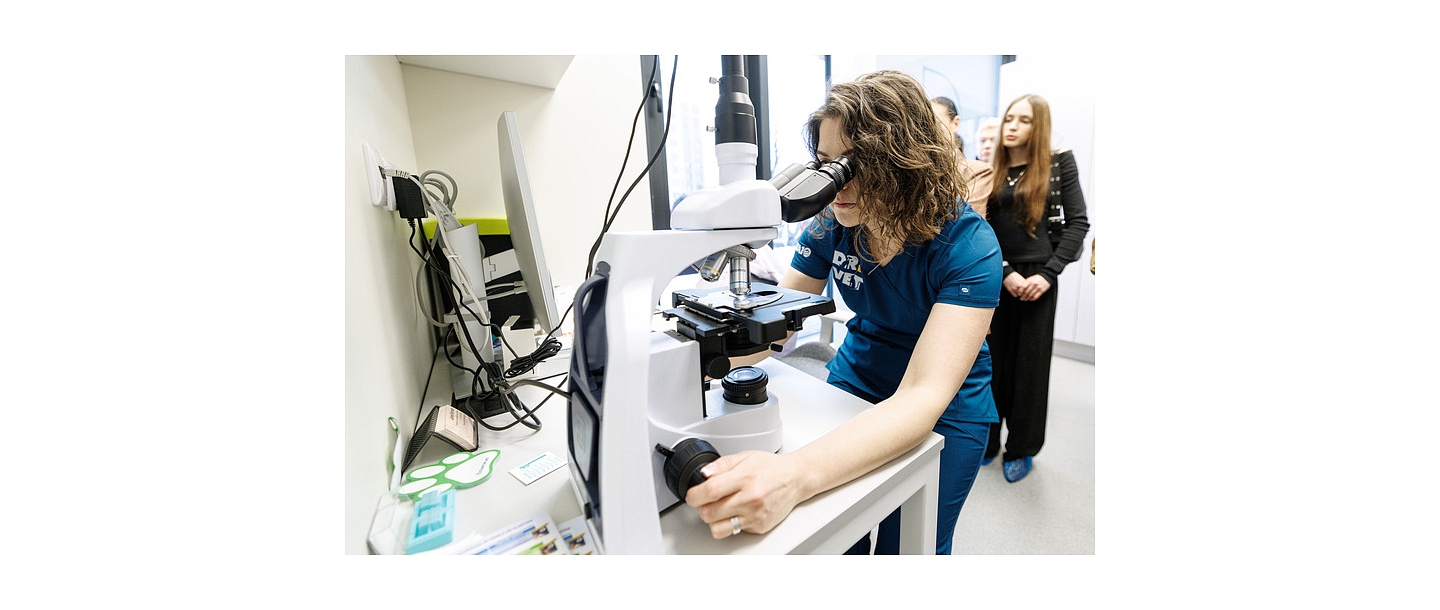 Microscopic diagnostics