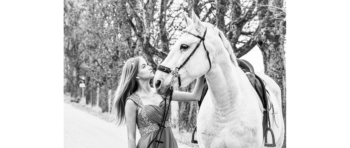 Photo session with horses