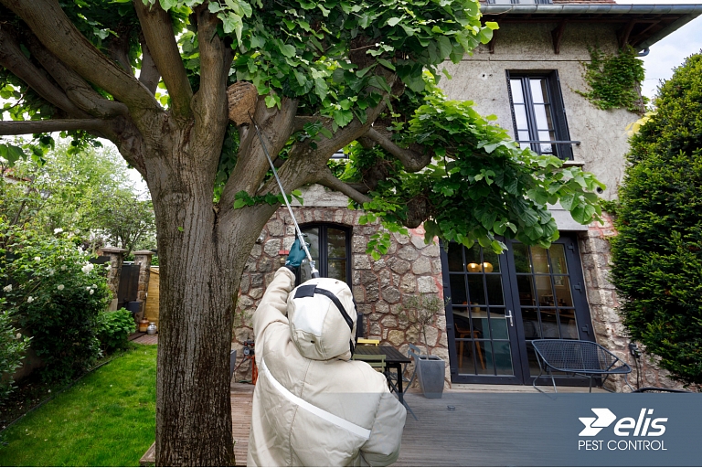 Elis Pest Control
