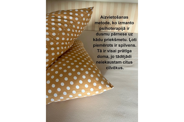 Частная практика Эльги Зегеле как психолога