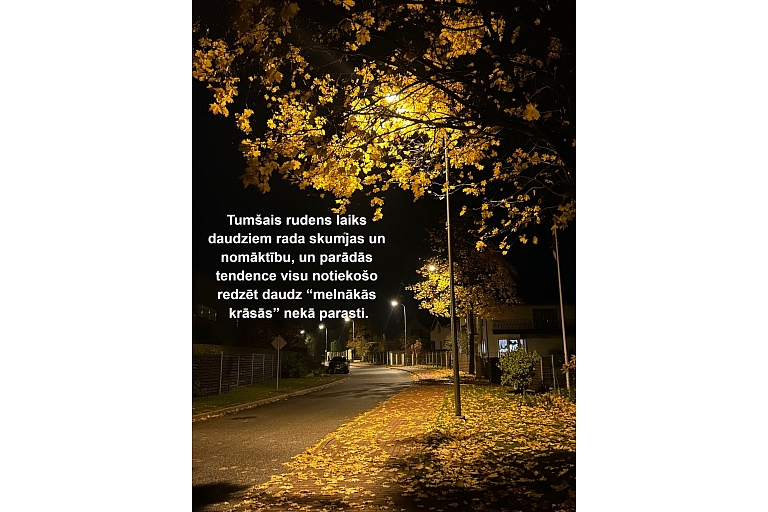 Elgas Zēģeles psihologa privātprakse