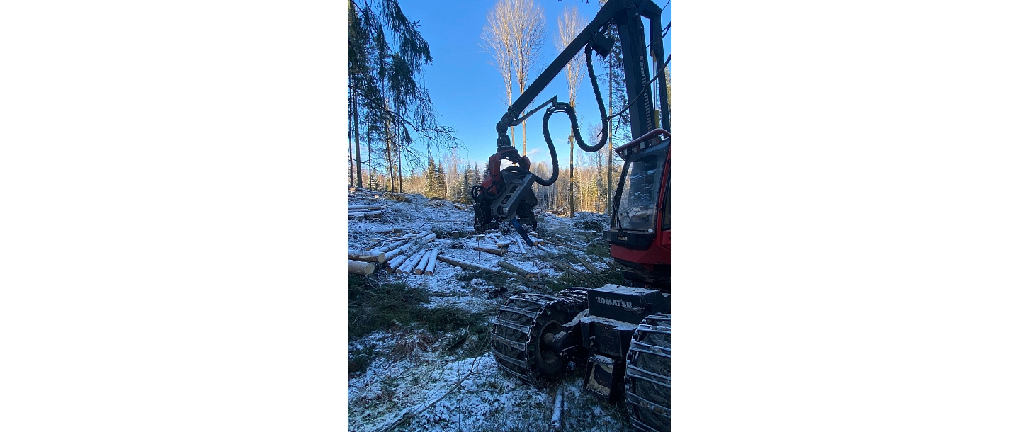 Гнезда Эй Джей, ООО