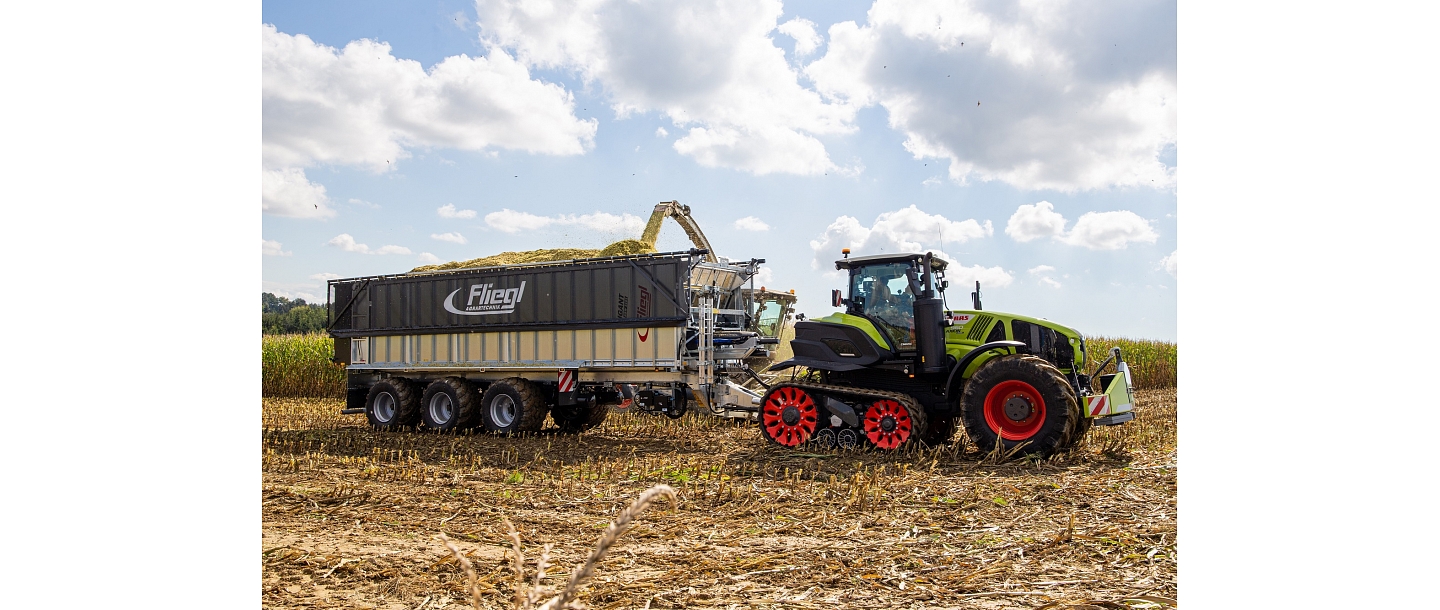 Fliegl Axion