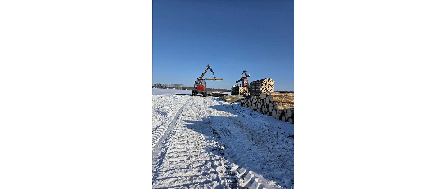 Delivery and loading of timber with machinery after harvesting