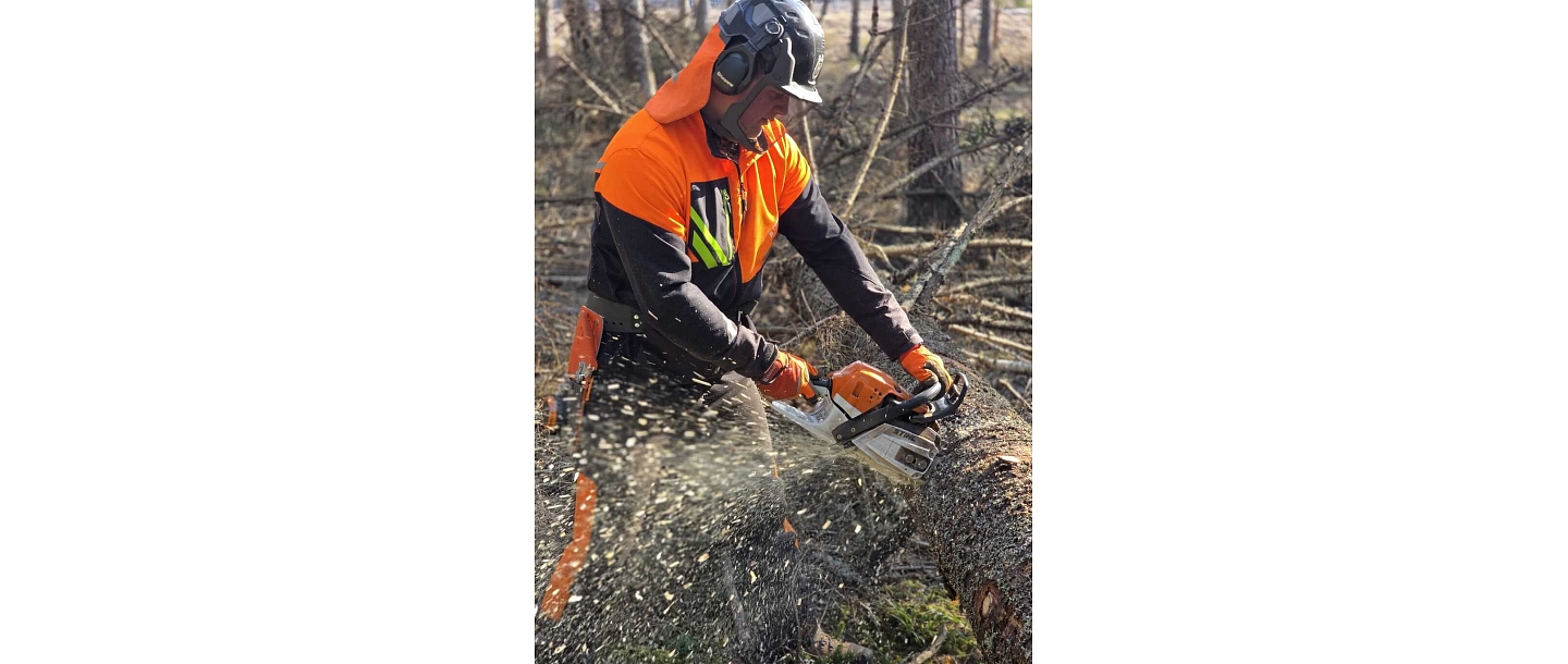 Safe and precise tree cutting by professional workers