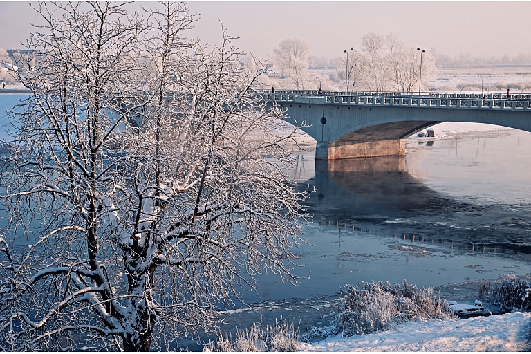 Фотограф в Елгаве