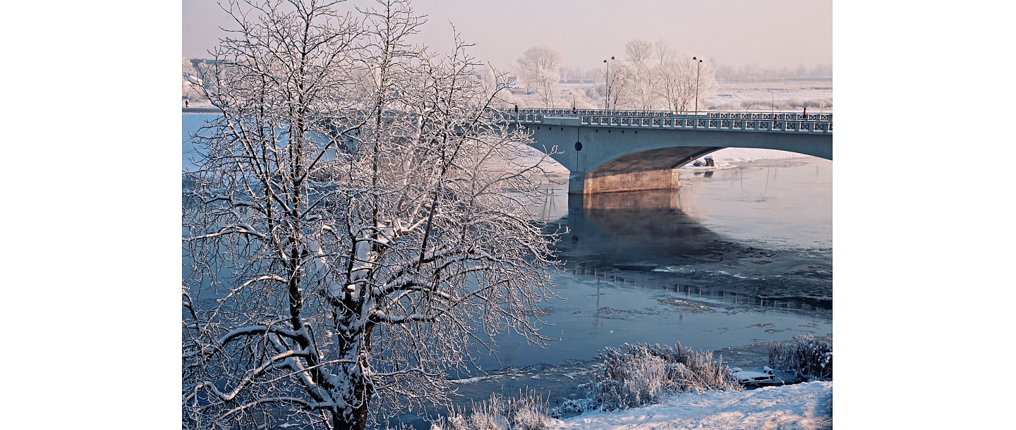 Photographer in Jelgava