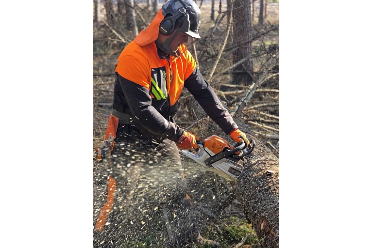 Safe and precise tree cutting by professional workers