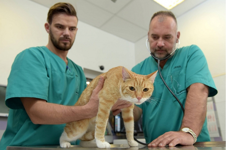 Laba veterinārā klīnika Rīgā Dr.Beinerts