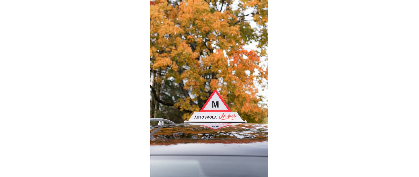 Теория категории B в Валмиере