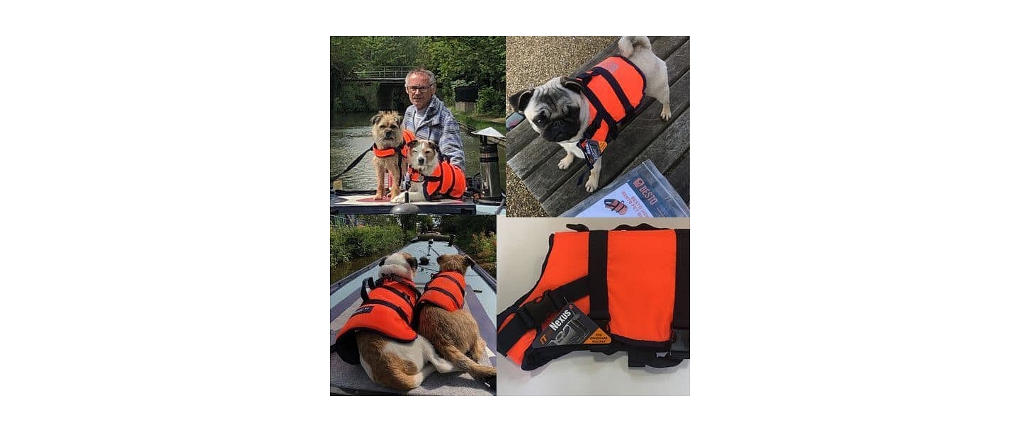 Glabsanas veste Besto dog buoyancy aid 3