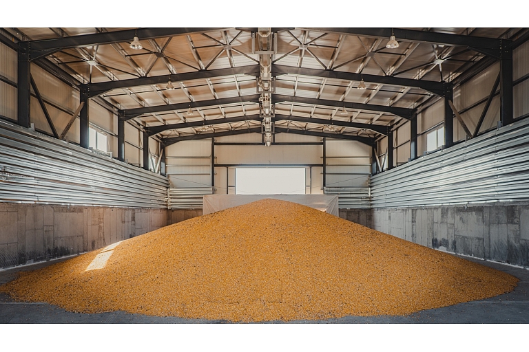 Graudaugu iepirkšana