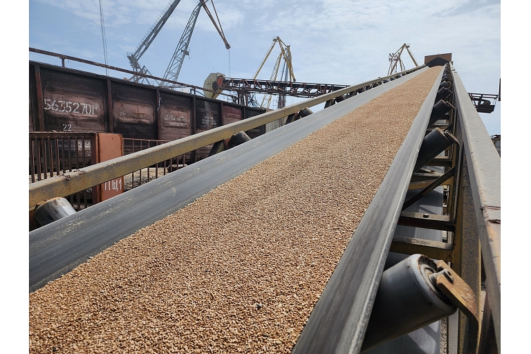 Grain export