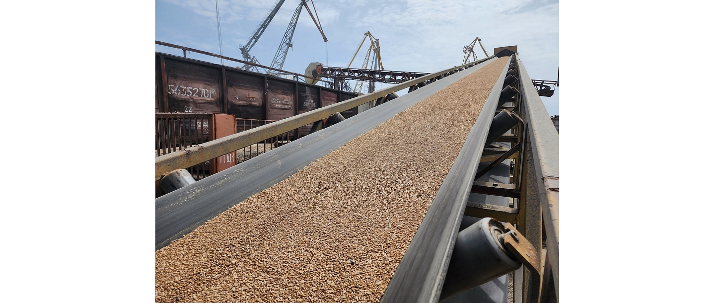 Grain export