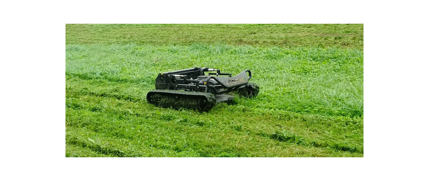 Labiekārtošanas pakalpojumi