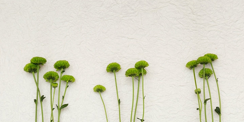 Наши контакты