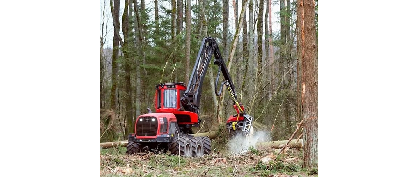 Purchase of felling areas