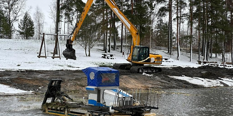 Removal of vegetation, coast strengthening