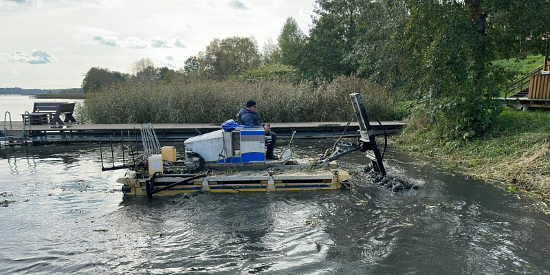 Ground milling, cutting reeds and water grass