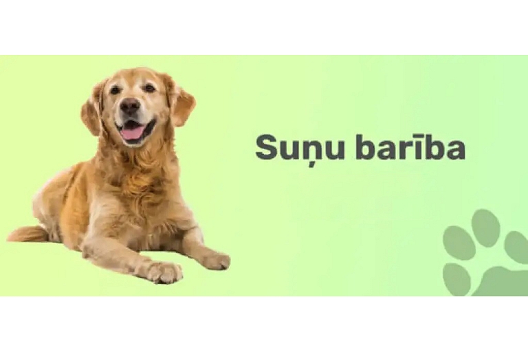 dog food