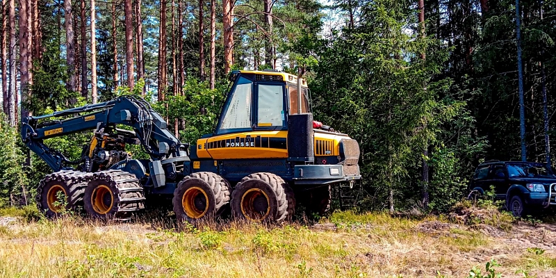 Управление лесным хозяйством