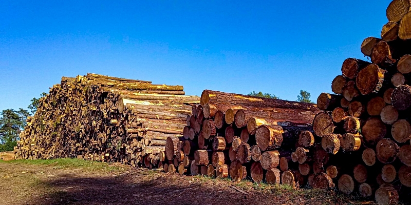 Продажа круглого леса