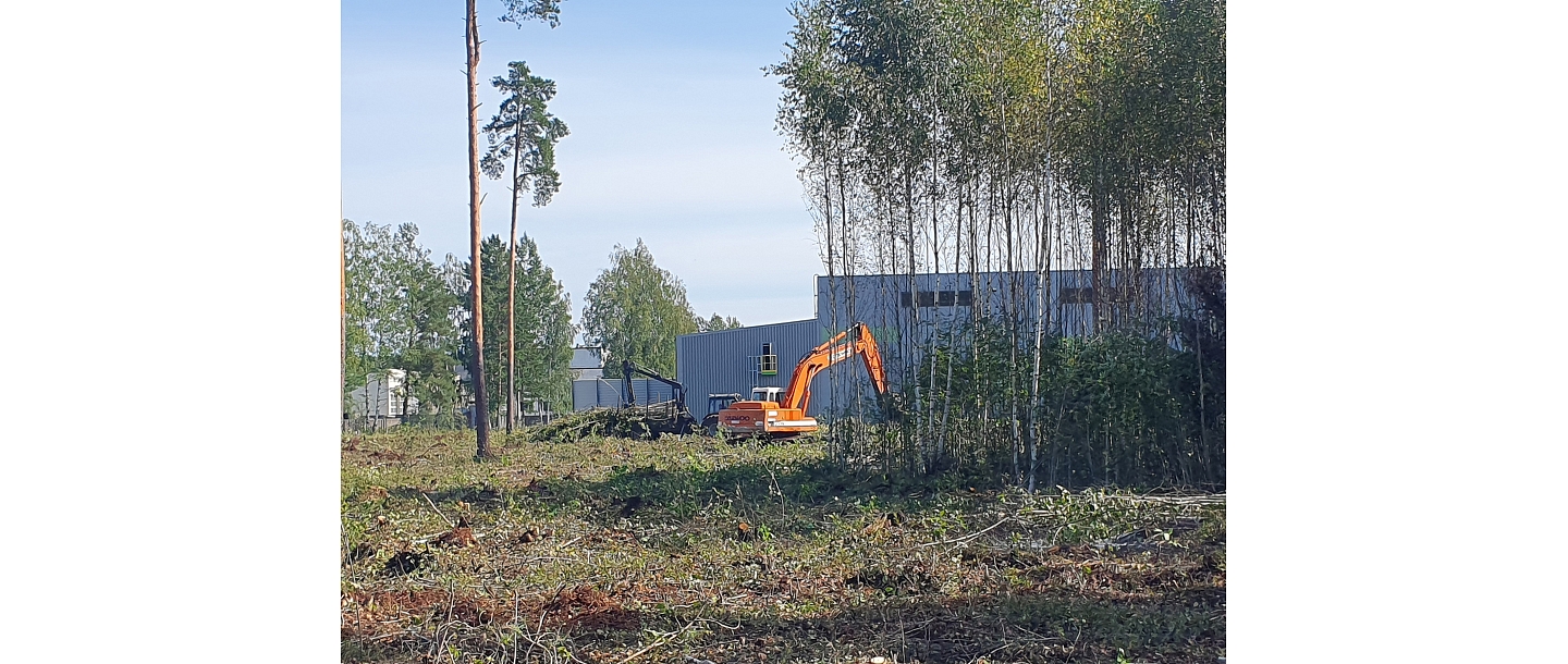 Услуги лесоразработки