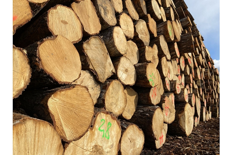 Timber exports