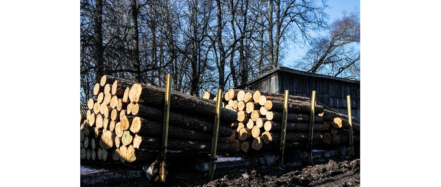 Sawlogs
