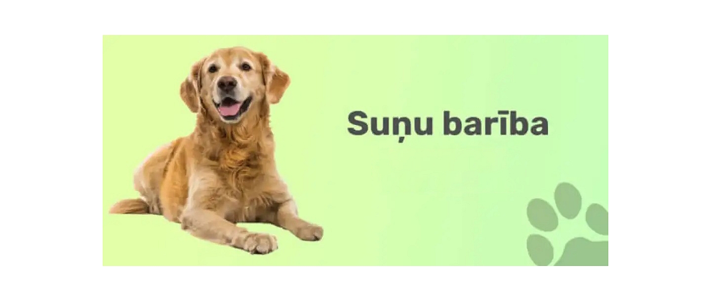 dog food