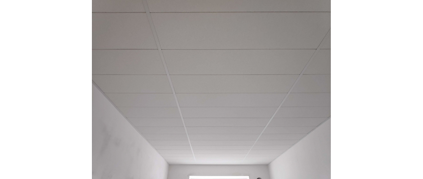 Survey of existing ceilings