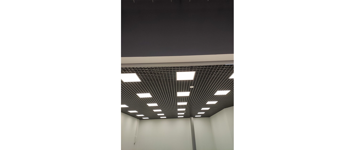 Suspended ceiling with lights