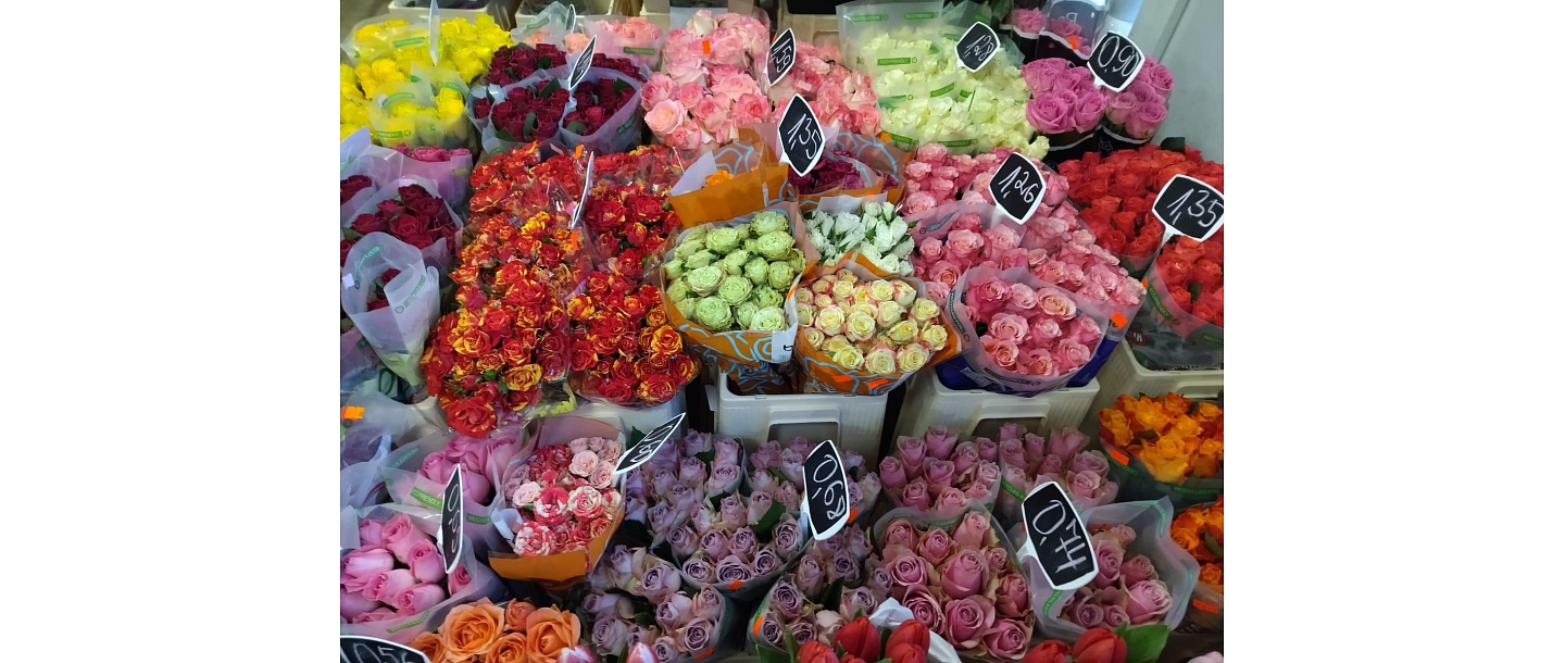 Milli Pro, flower shop 