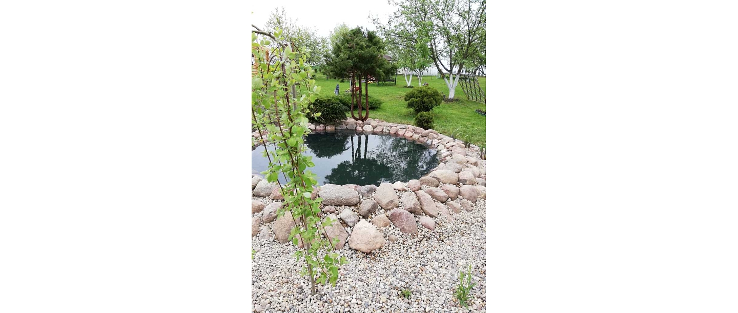 pond creation