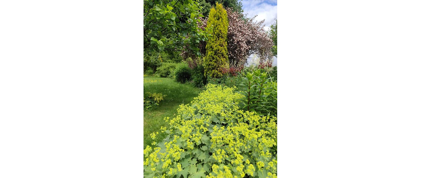 flower bed planning