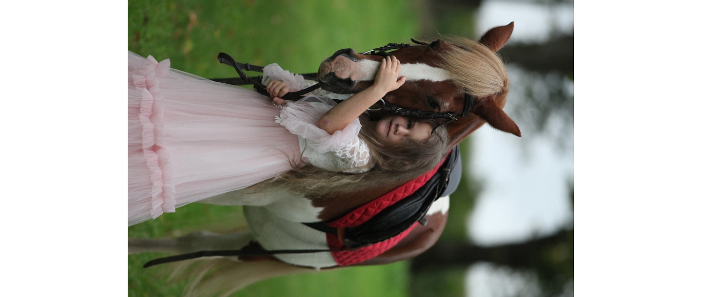 Photo session with horses