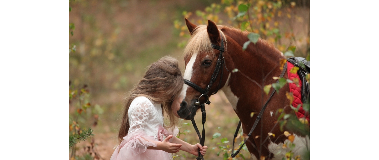 Photo session with horses