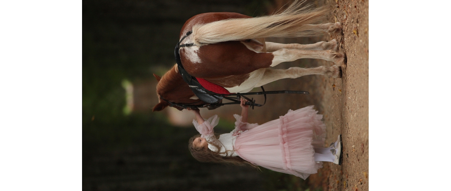 Photo session with horses