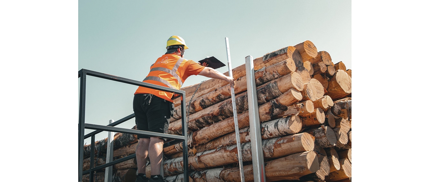 Sale of logs