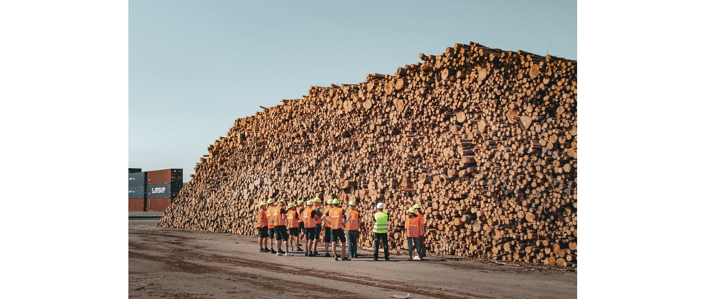 Sale of logs