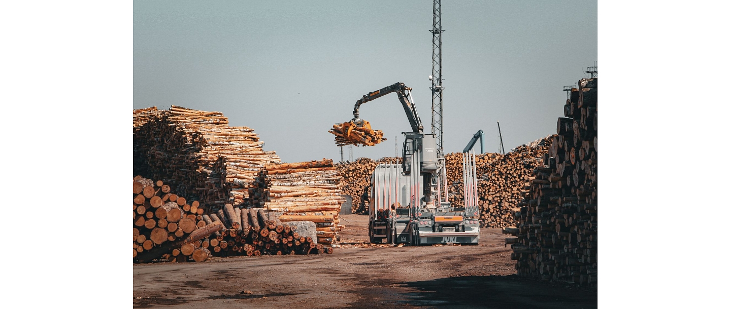 Sale of logs