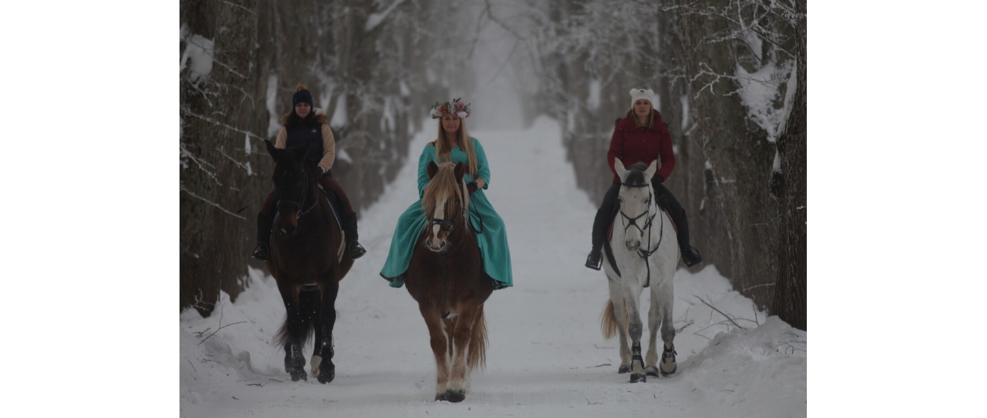 Photo session with horses