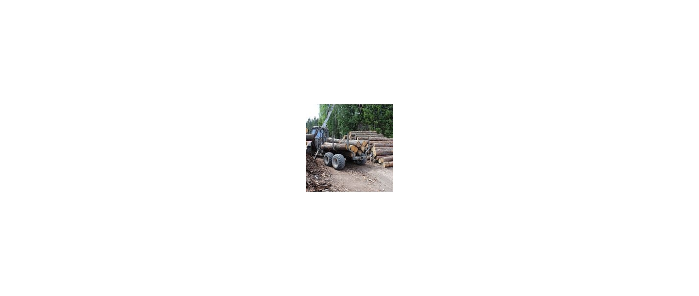 Timber equipment - moving saw logs
