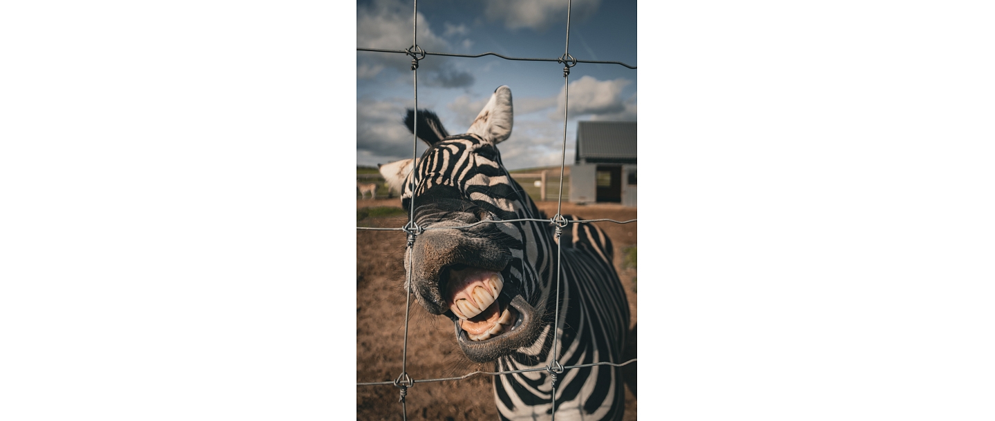Sigulda Zoo