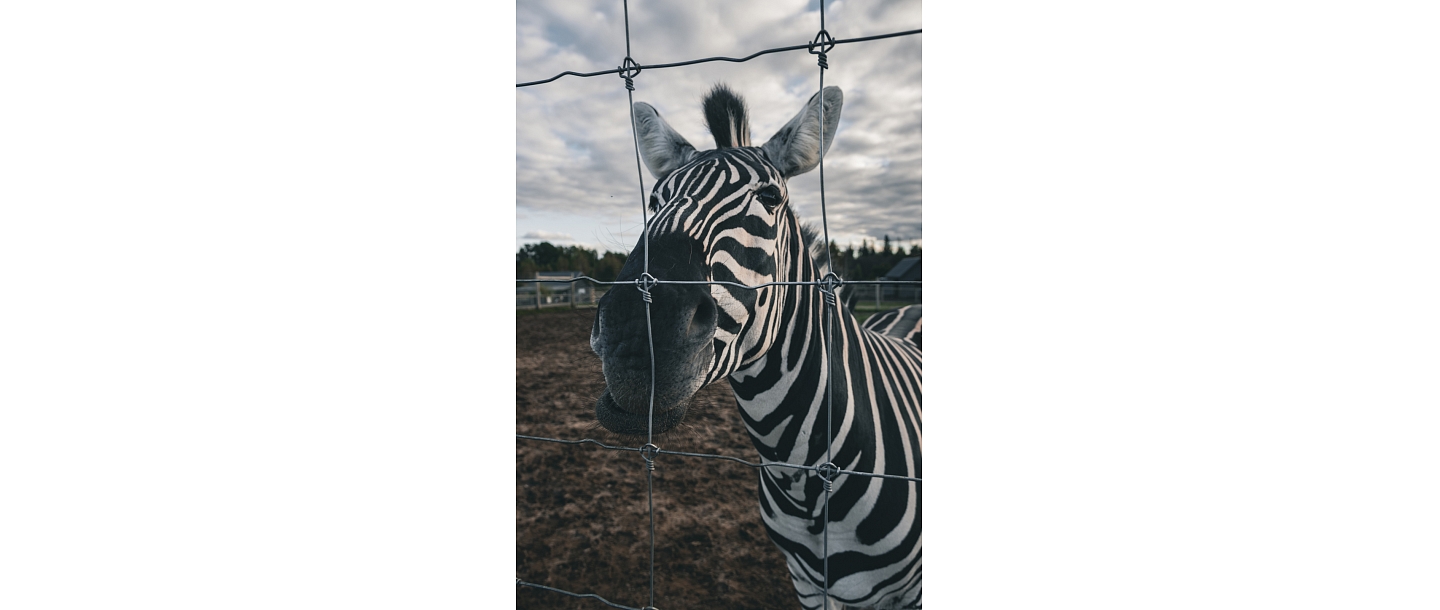 Сигулдский зоопарк