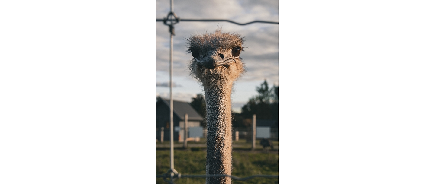 Сигулдский зоопарк