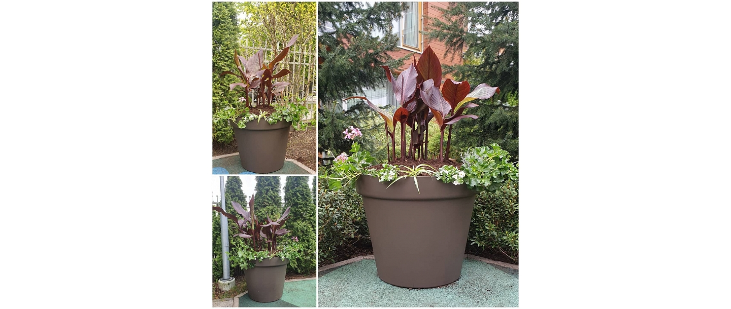 озеленение